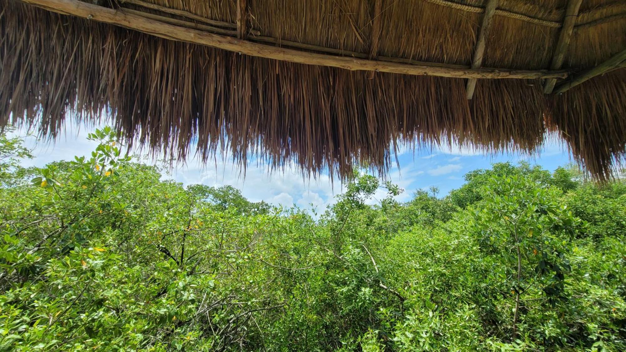 Hotel Cormoran Tulum & Cenote Εξωτερικό φωτογραφία
